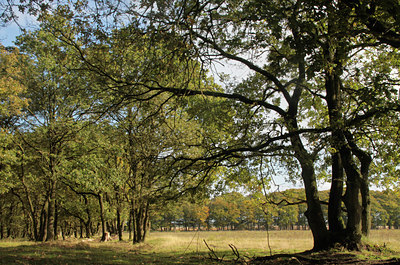 BUITEN BEELD Foto: 108839