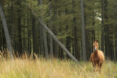 BUITEN BEELD Foto: 108842