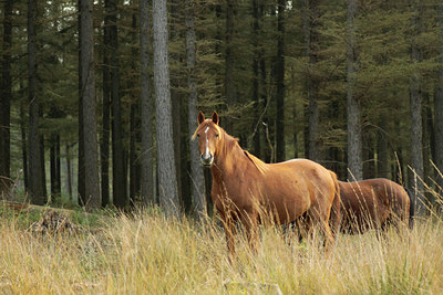 BUITEN BEELD Foto: 108843