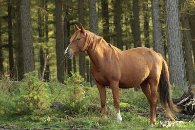 BUITEN BEELD Foto: 108844