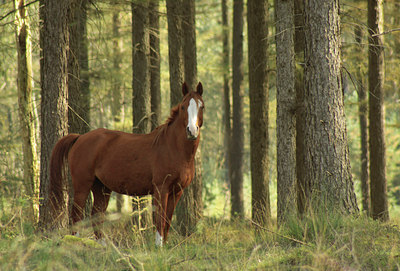 BUITEN BEELD Foto: 108847