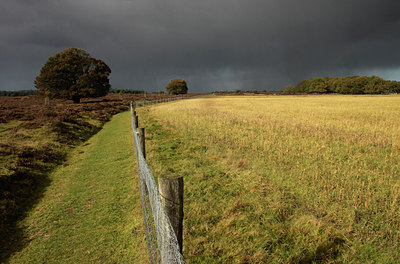 BUITEN BEELD Foto: 108857