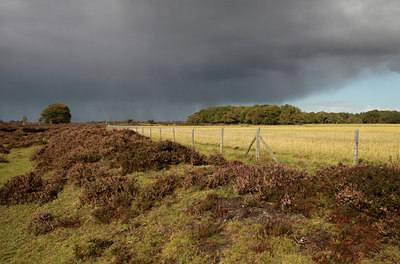 BUITEN BEELD Foto: 108859