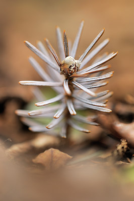 BUITEN BEELD Foto: 108869