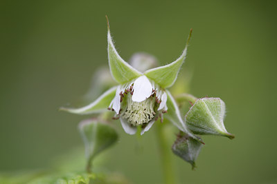 BUITEN BEELD Foto: 108872