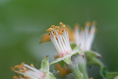 BUITEN BEELD Foto: 108875