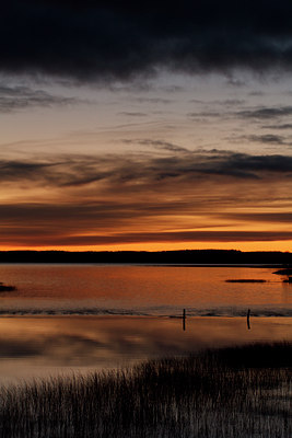 BUITEN BEELD Foto: 108882