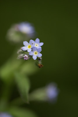 BUITEN BEELD Foto: 108897