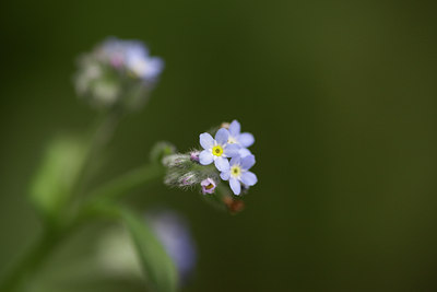 BUITEN BEELD Foto: 108907