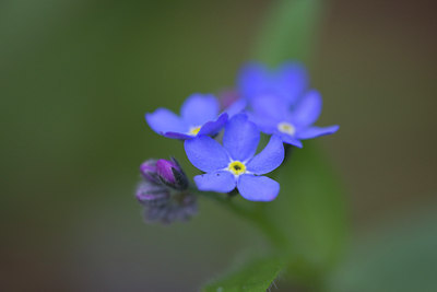 BUITEN BEELD Foto: 108914