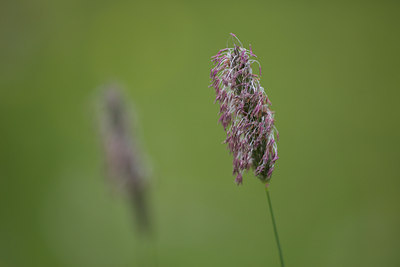 BUITEN BEELD Foto: 108932