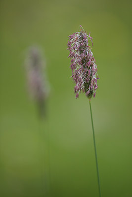BUITEN BEELD Foto: 108939