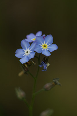 BUITEN BEELD Foto: 108948