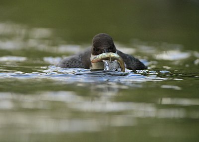 BUITEN BEELD Foto: 108970