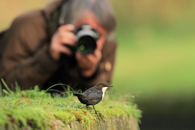 BUITEN BEELD Foto: 108994