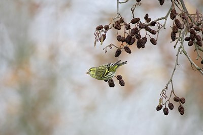 BUITEN BEELD Foto: 10080