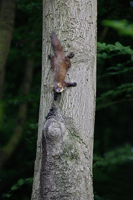 BUITEN BEELD Foto: 10084