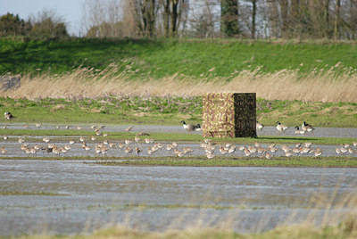 BUITEN BEELD Foto: 10127