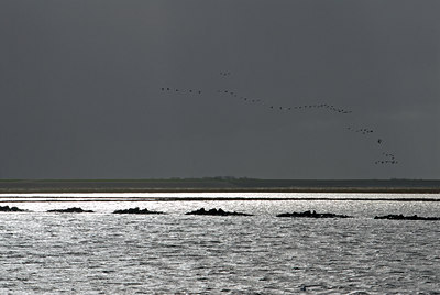 BUITEN BEELD Foto: 10146