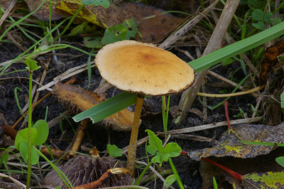 BUITEN BEELD Foto: 10243