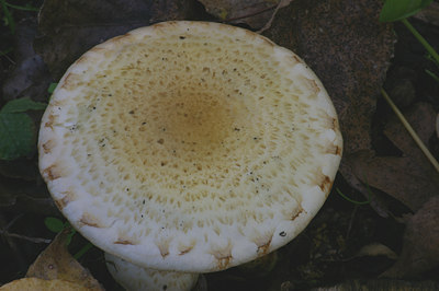 BUITEN BEELD Foto: 10254