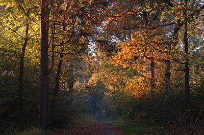 BUITEN BEELD Foto: 10304