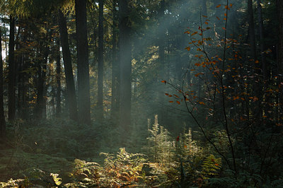 BUITEN BEELD Foto: 10307