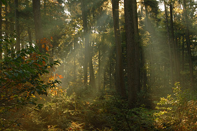 BUITEN BEELD Foto: 10308