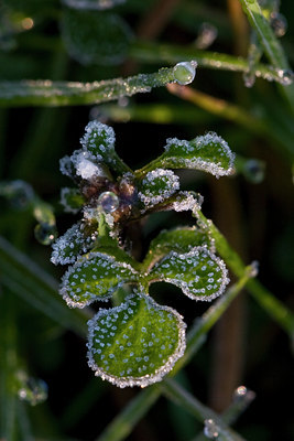 BUITEN BEELD Foto: 10391