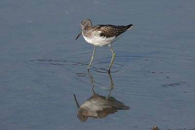 BUITEN BEELD Foto: 10444