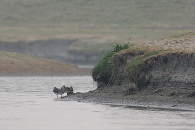 BUITEN BEELD Foto: 10446