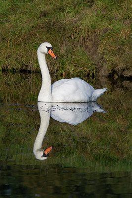 BUITEN BEELD Foto: 10478