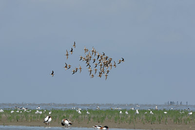 BUITEN BEELD Foto: 10493