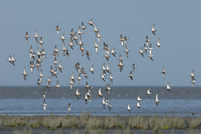 BUITEN BEELD Foto: 10495