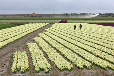 BUITEN BEELD Foto: 10588