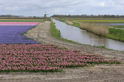 BUITEN BEELD Foto: 10589