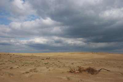 BUITEN BEELD Foto: 10734