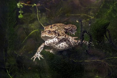 BUITEN BEELD Foto: 10835