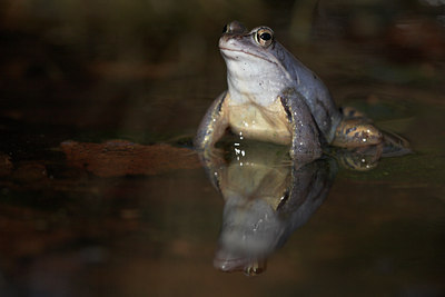 BUITEN BEELD Foto: 10843