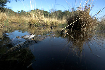 BUITEN BEELD Foto: 10846