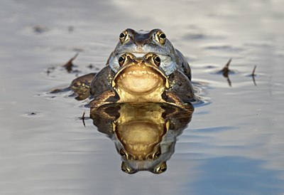 BUITEN BEELD Foto: 10857