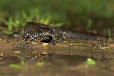 BUITEN BEELD Foto: 10891