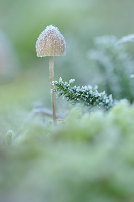 BUITEN BEELD Foto: 109046
