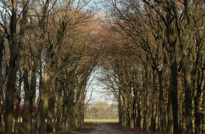 BUITEN BEELD Foto: 109079