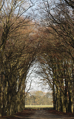 BUITEN BEELD Foto: 109080