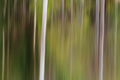 BUITEN BEELD Foto: 109095