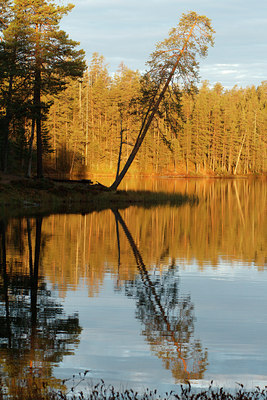 BUITEN BEELD Foto: 109102