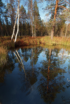 BUITEN BEELD Foto: 109109