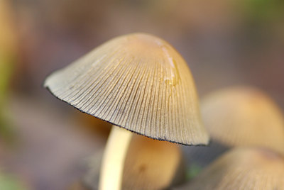 BUITEN BEELD Foto: 109120