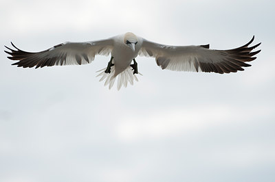 BUITEN BEELD Foto: 109145